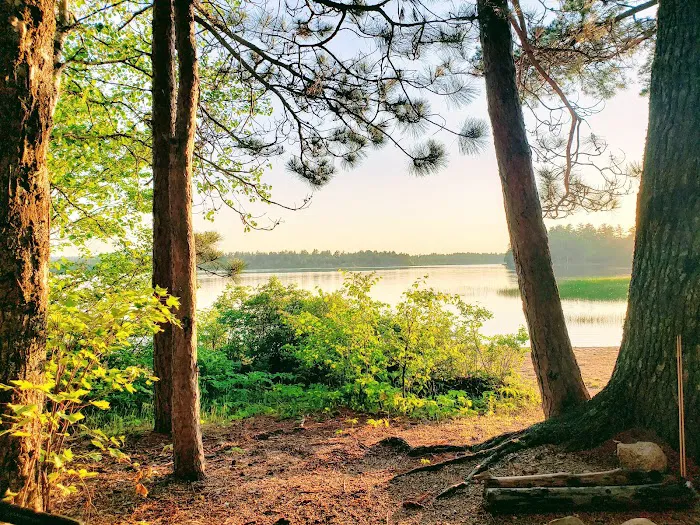 Sabao Lake Campground Picture 9