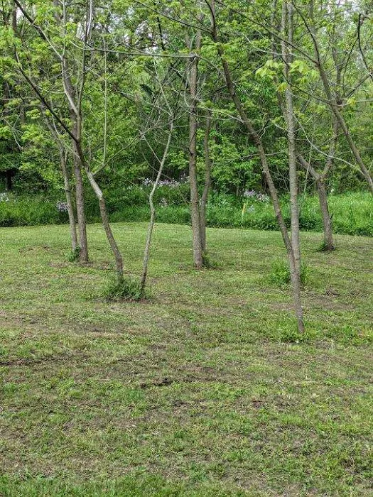 2 Bees Campground Picture 7