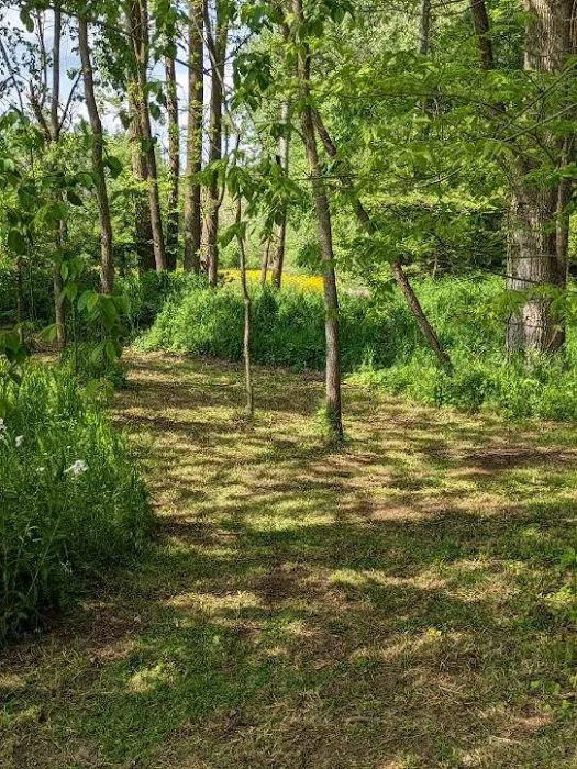 2 Bees Campground Picture 6