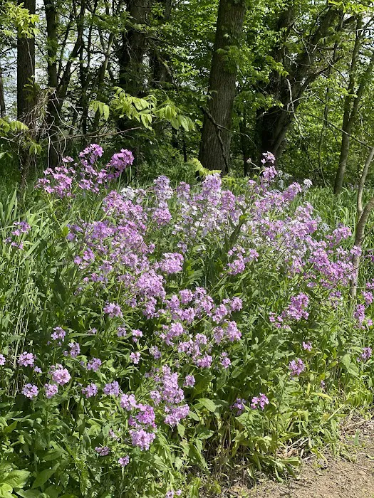 2 Bees Campground Picture 9