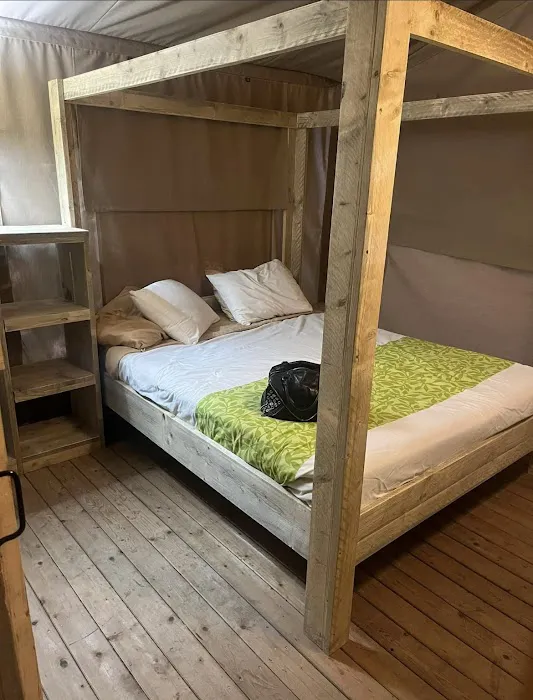 Shelby / Mansfield KOA Resort Picture 2