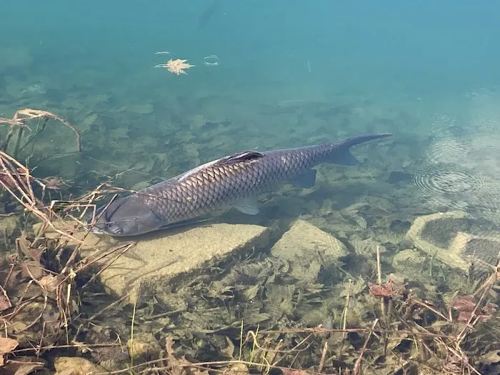 Auburn Lake Park Picture 2