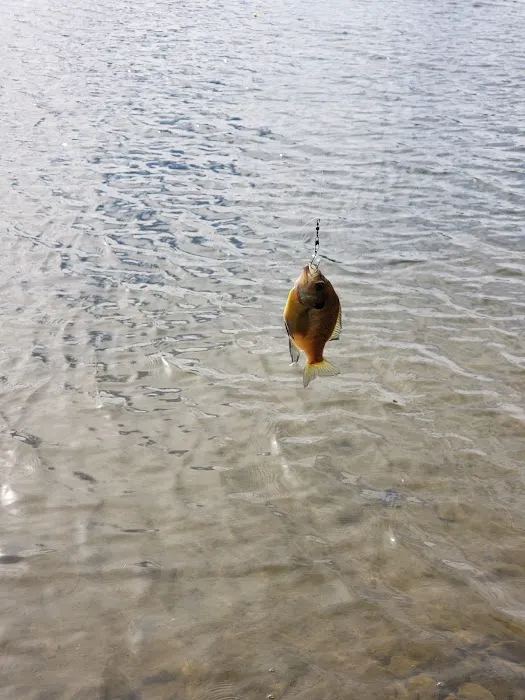 Auburn Lake Park Picture 7