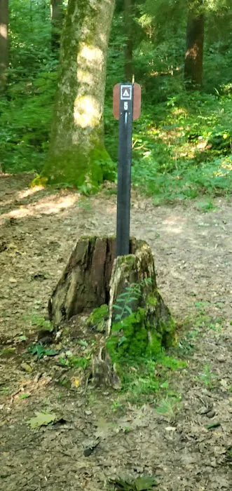 Mohican State Park - Back Pack Campsite #5 Picture 1