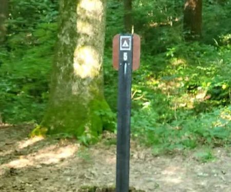 Mohican State Park - Back Pack Campsite #5