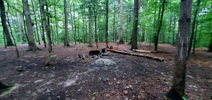 Mohican State Park - Backpack Campsite #9 Picture 1