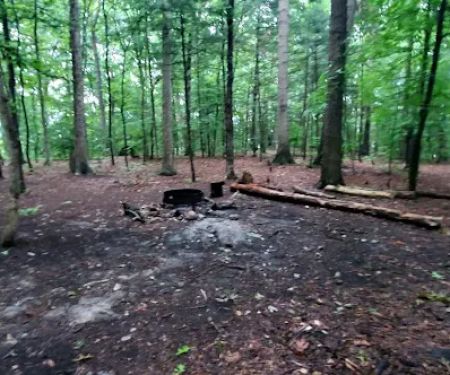 Mohican State Park - Backpack Campsite #9