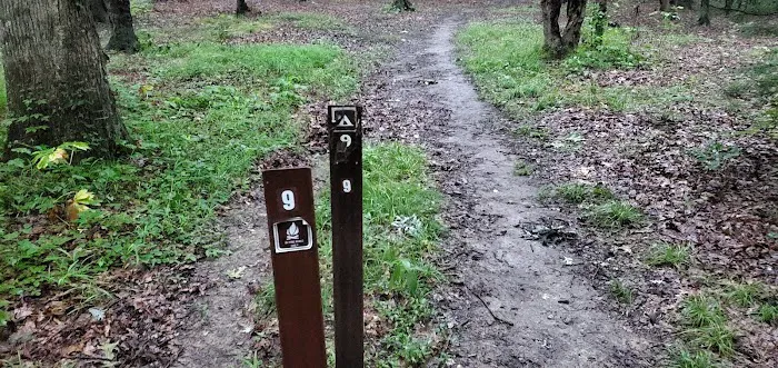 Mohican State Park - Backpack Campsite #9 Picture 3