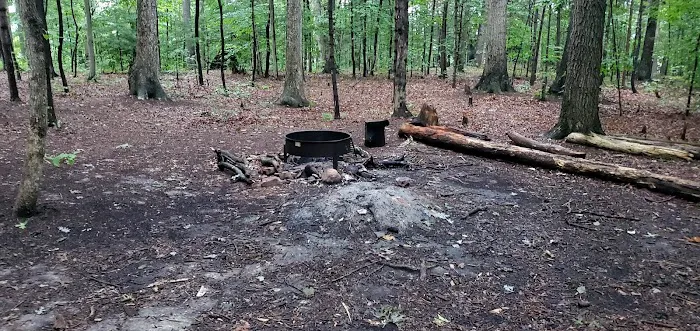 Mohican State Park - Backpack Campsite #9 Picture 2