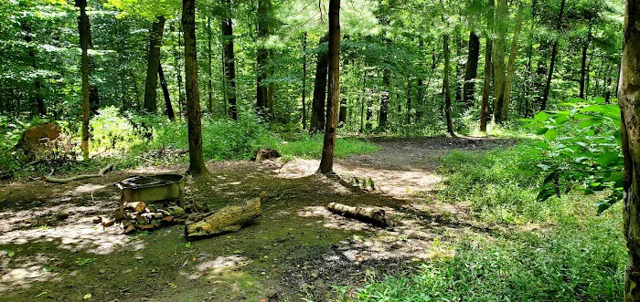 Mohican State Park - Backpack Campsite #8 Picture 1