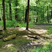 Mohican State Park - Backpack Campsite #8 ico