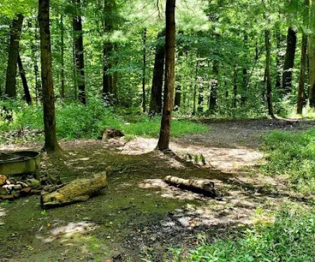 Mohican State Park - Backpack Campsite #8