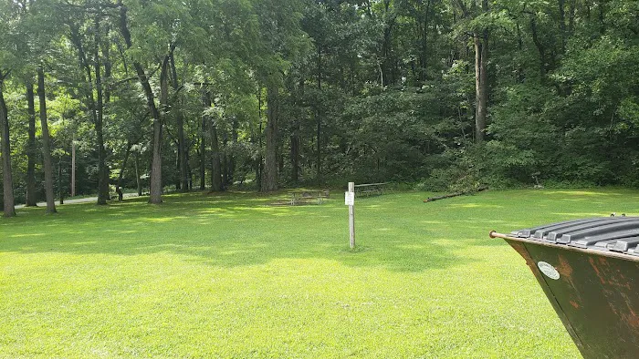 Mohican Group Camp Picture 2