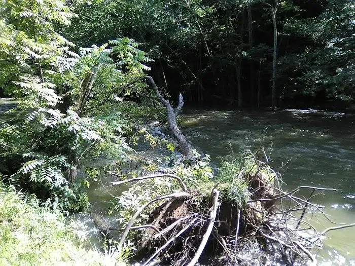 Mohican State Park - Campground B Picture 8