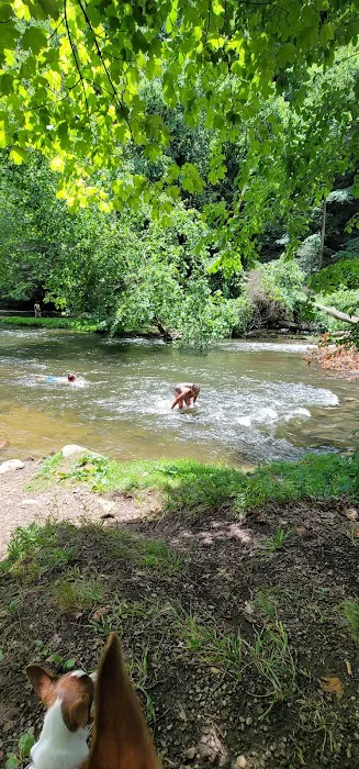 Mohican State Park - Campground B Picture 1