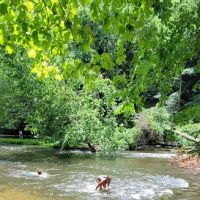 Mohican State Park - Campground B ico