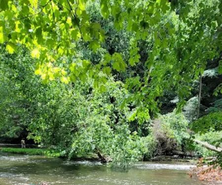 Mohican State Park - Campground B