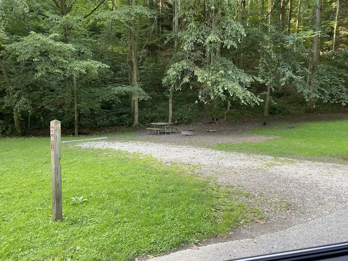 Mohican State Park - Campground B Picture 6