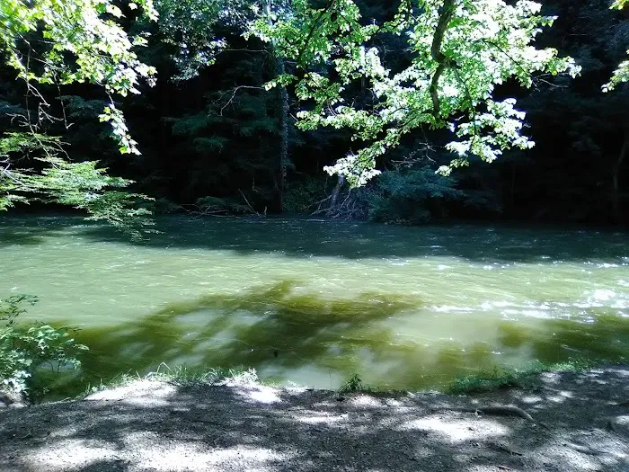 Mohican State Park - Campground B Picture 3