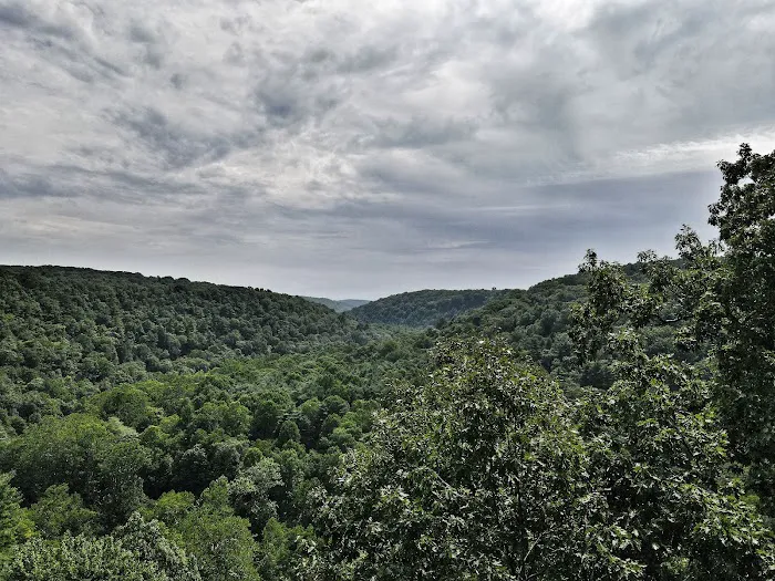 Mohican State Park - Campground B Picture 9