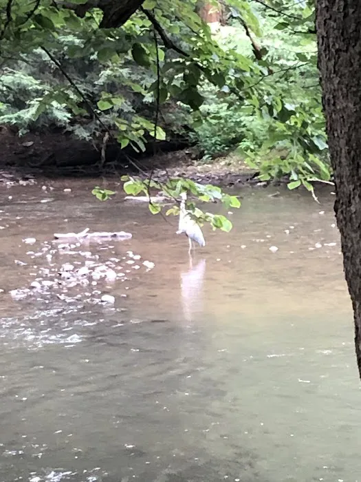 Mohican State Park - Campground B Picture 4