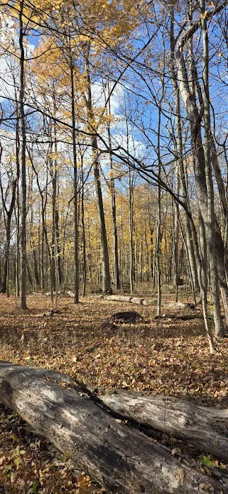 Mohican State Park - Campground B Picture 5