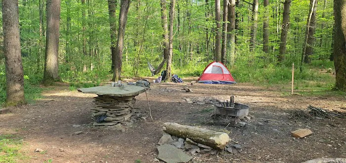 Mohican-Memorial State Forest - Backpack Campsite #3 Picture 1