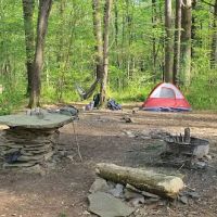 Mohican-Memorial State Forest - Backpack Campsite #3 ico