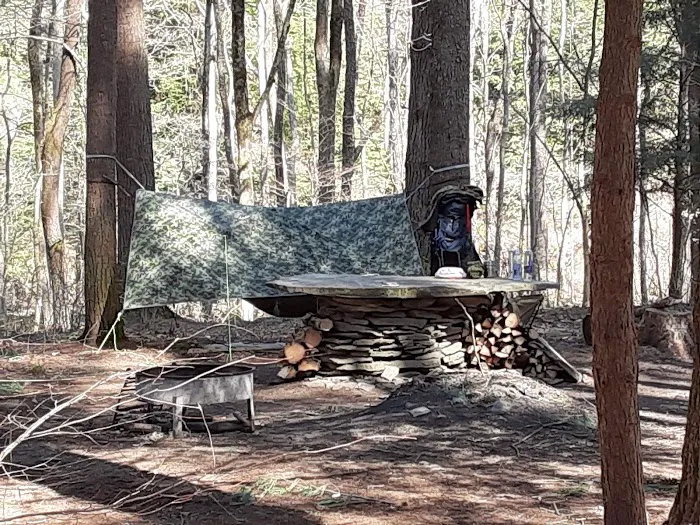 Mohican-Memorial State Forest - Backpack Campsite #3 Picture 7