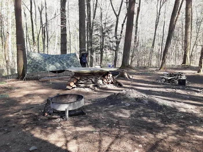 Mohican-Memorial State Forest - Backpack Campsite #3 Picture 6