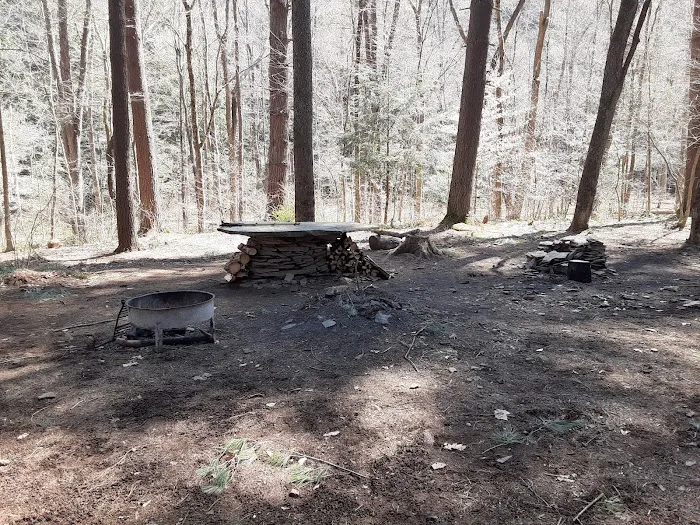 Mohican-Memorial State Forest - Backpack Campsite #3 Picture 3