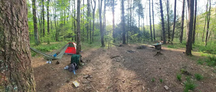Mohican-Memorial State Forest - Backpack Campsite #3 Picture 8