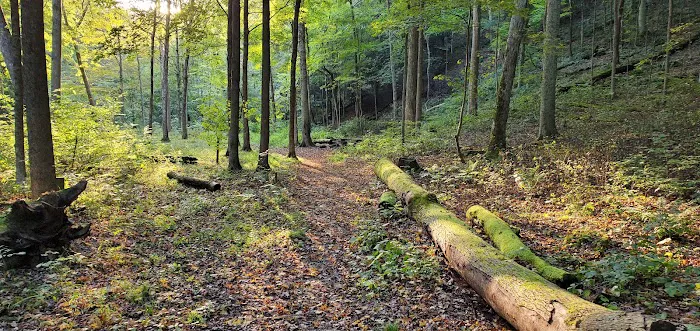 Mohican State Park - Backpack Campsite #2 Picture 4