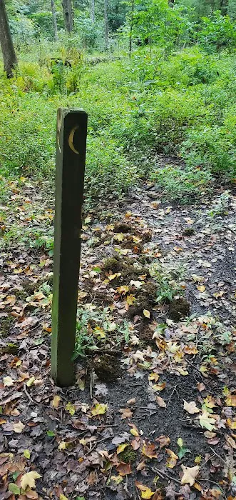 Mohican State Park - Backpack Campsite #2 Picture 1