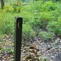 Mohican State Park - Backpack Campsite #2 ico