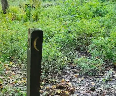 Mohican State Park - Backpack Campsite #2