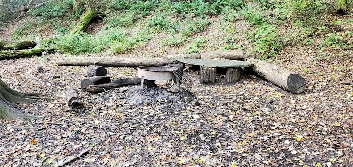 Mohican State Park - Backpack Campsite #2 Picture 3