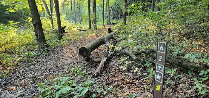 Mohican State Park - Backpack Campsite #2 Picture 2