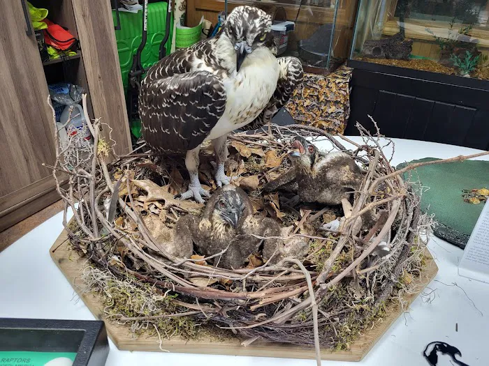 Pleasant Hill Lake Park Picture 6