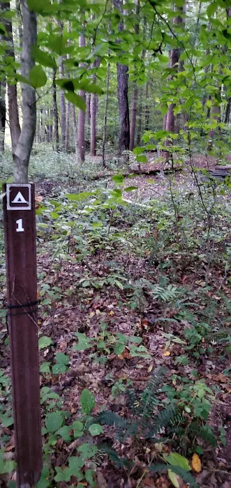 Mohican State Park - Backpack Campsite #1 Picture 1