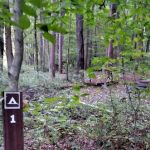 Mohican State Park - Backpack Campsite #1