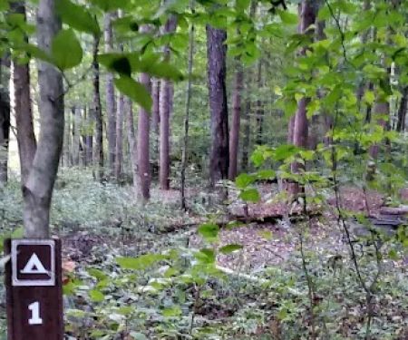 Mohican State Park - Backpack Campsite #1