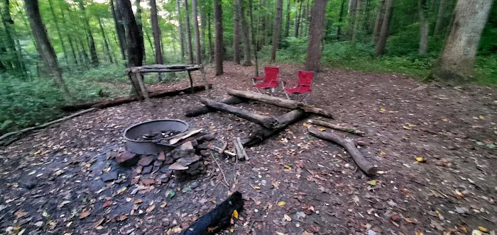 Mohican State Park - Backpack Campsite #1 Picture 3