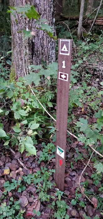 Mohican State Park - Backpack Campsite #1 Picture 2