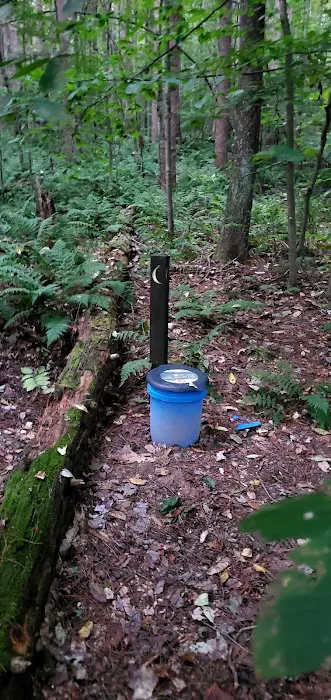 Mohican State Park - Backpack Campsite #1 Picture 4