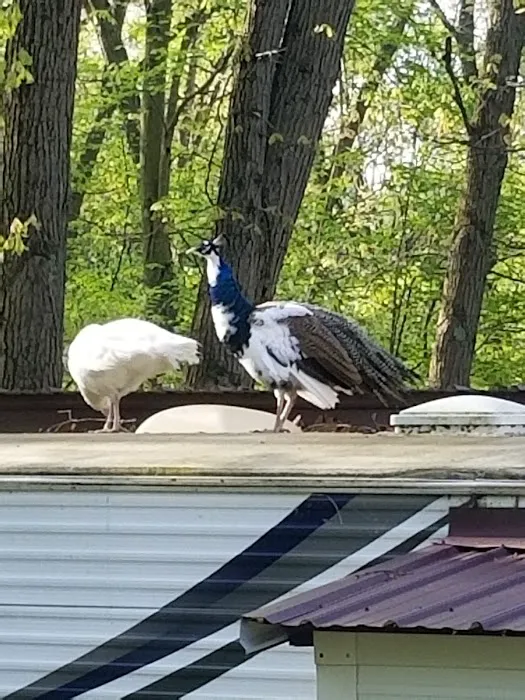 Butler North KOA Picture 6