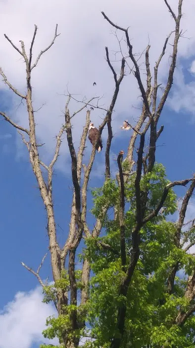 Butler North KOA Picture 5