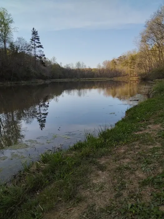 Chief Cornstalk WMA Lake Campground Picture 4