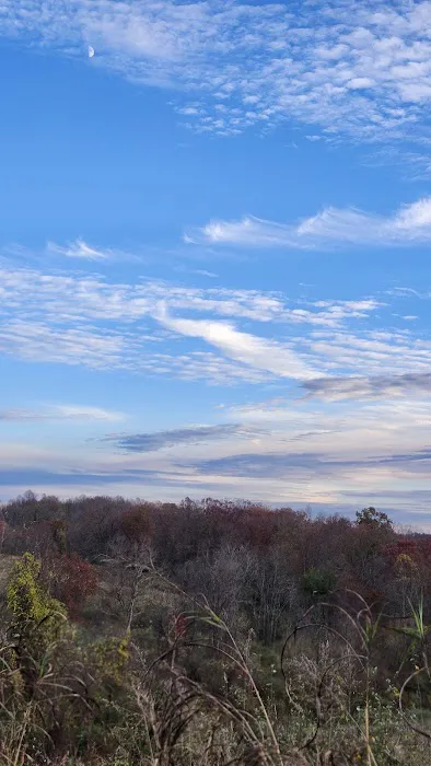 Chief Cornstalk WMA Lake Campground Picture 1