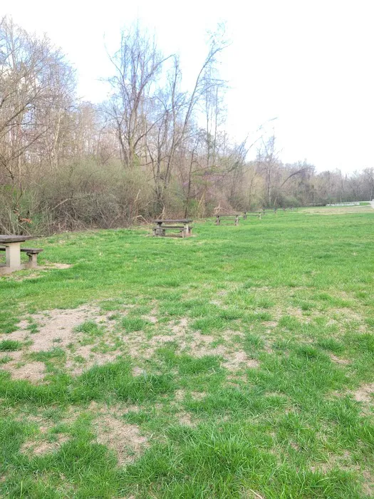 Chief Cornstalk WMA Lake Campground Picture 5